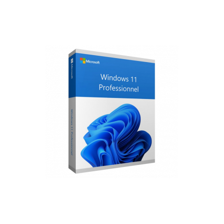 WINDOWS 11 PRO 64 Bit
