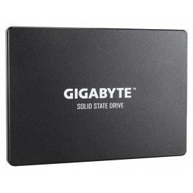 GP-GSTFS31100TNTD 1 To