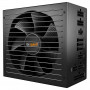 STRAIGHT POWER 12 750W