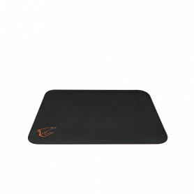 GP-AMP300 GP-AMP300