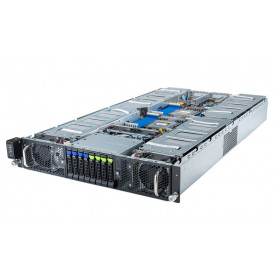G293-Z41 G293-Z41