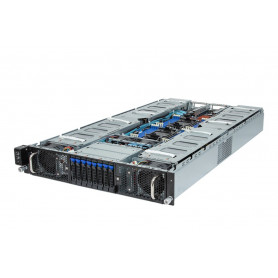 G293-S45-AAP1 G293-S45-AAP1