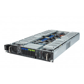 G293-S42-AAP1 G293-S42-AAP1