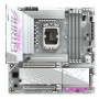 B860M A ELT WF6E ICE