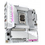 B860M A ELT WF6E ICE