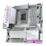 B860M A ELT WF6E ICE
