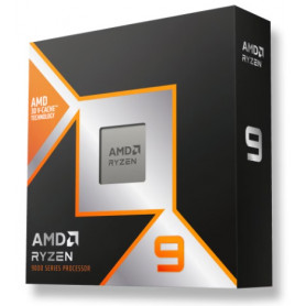 RYZEN 9 9900X3D RYZEN 9 9900X3D