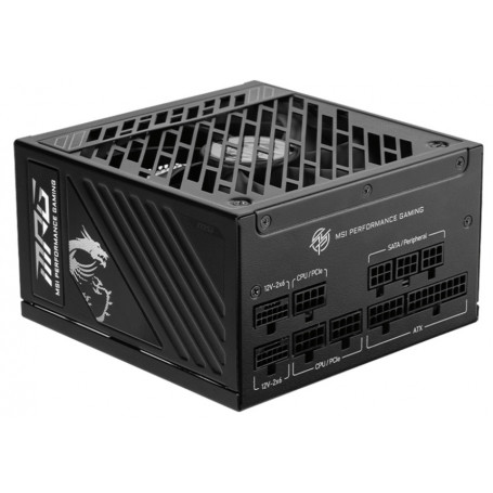 MPG A850GS PCIE5