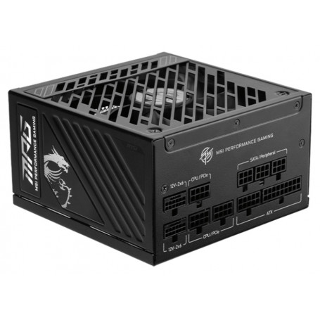 MPG A1000GS PCIE5