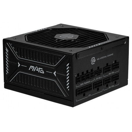 MAG A850GLS PCIE5