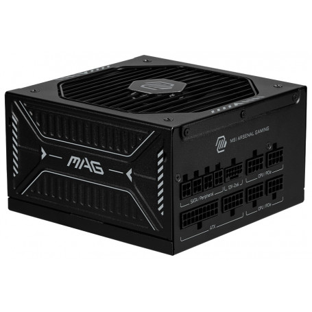 MAG A1000GLS PCIE5