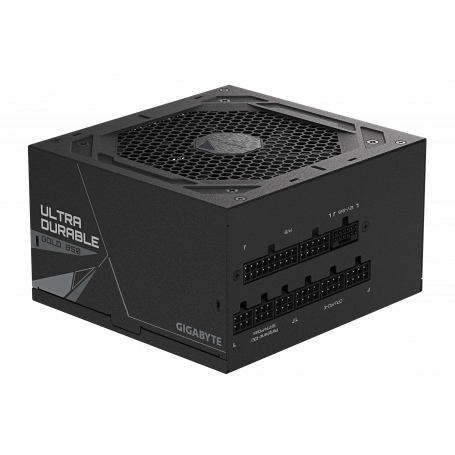 GP-UD850GM PG5 V2
