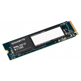 G3NVMEV2256G M.2 256 Go