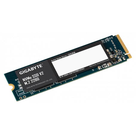 G3NVMEV2256G M.2 256 Go